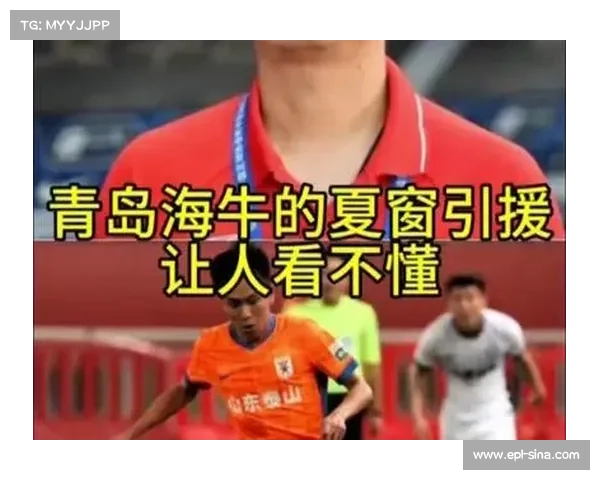中超夏窗引援效果分化 海牛新援未能达到预期表现 中超夏窗引援效果分化 海牛新援未能达到预期表现